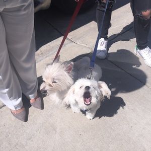 Meet your Posher, Mich